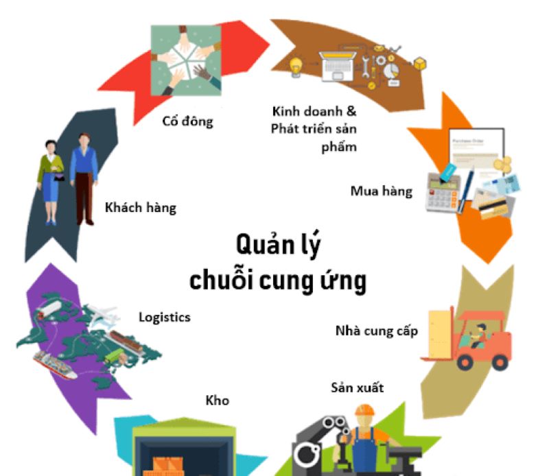 Mức lương của ngành Logistics và Quản trị chuỗi cung ứng