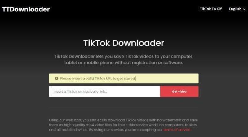 Bạn có thể tải video TikTok không logo trên iPhone, Android một cách đơn giản và nhanh chóng với Tik Tok Downloader.