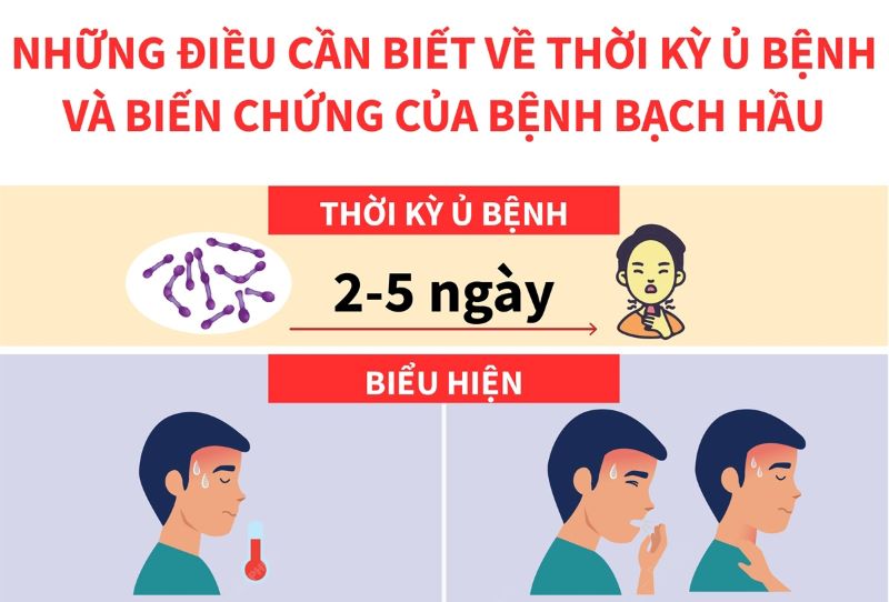 Bệnh bạch hầu đang có dấu hiệu bùng phát lại, Bộ Y tế phải ra dấu hiệu khẩn trương