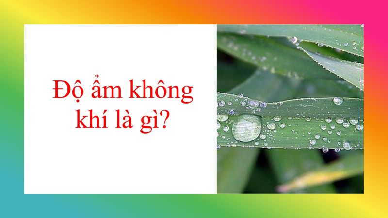 Độ ẩm không khí là một trong những yếu tố quan trọng trong khí hậu học