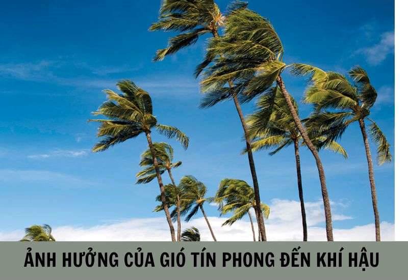 Tên gọi "tín phong" có nghĩa là "gió đáng tin cậy", thể hiện sự ổn định và dự đoán được hướng gió của loại gió này.