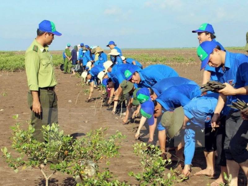 Nỗ lực chung của toàn cầu nhằm giảm thiểu khí thải gây hiệu ứng nhà kính là giải pháp quan trọng để hạn chế biến đổi khí hậu, từ đó kiểm soát những thay đổi bất thường của gió tín phong.