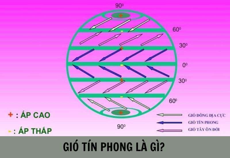 Gió Tín Phong có nguồn gốc từ đâu?