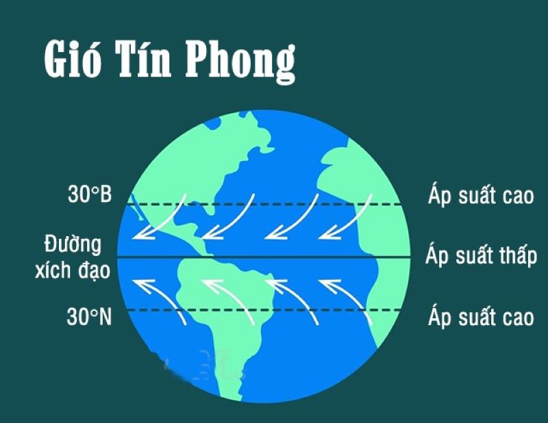 Gió Tín Phong có nguồn gốc từ đâu?