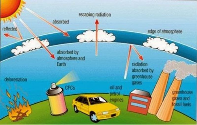 Hậu quả của việc thủng tầng ozon